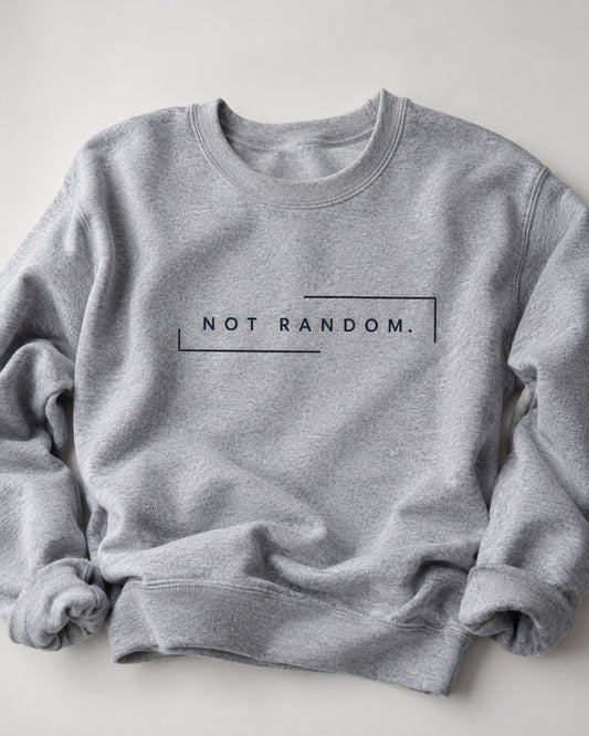 Not Random gray crewneck sweatshirt